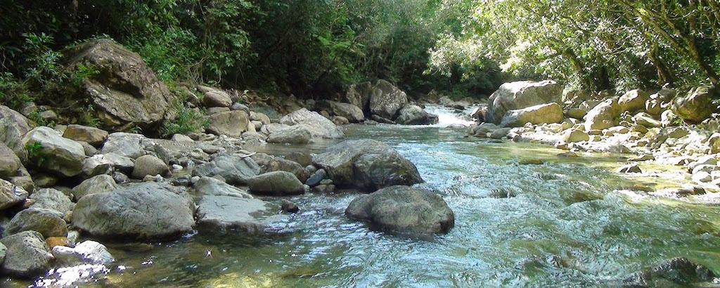 Día Mundial del Agua 2016